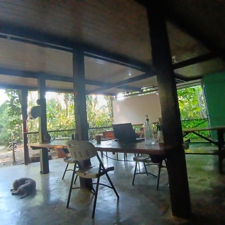 Nativos Corcovado Cabins Drake Bay Luaran gambar