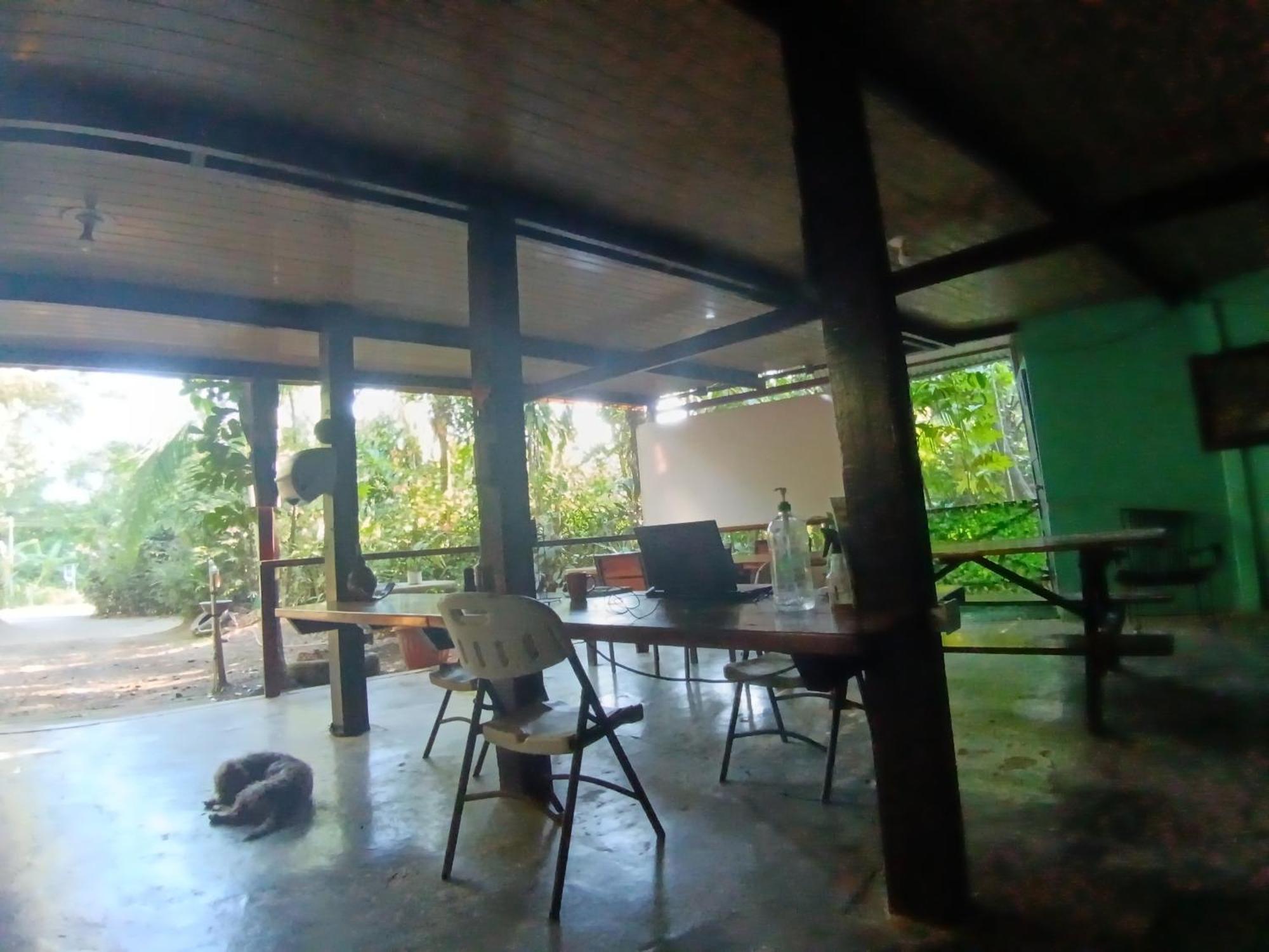 Nativos Corcovado Cabins Drake Bay Luaran gambar